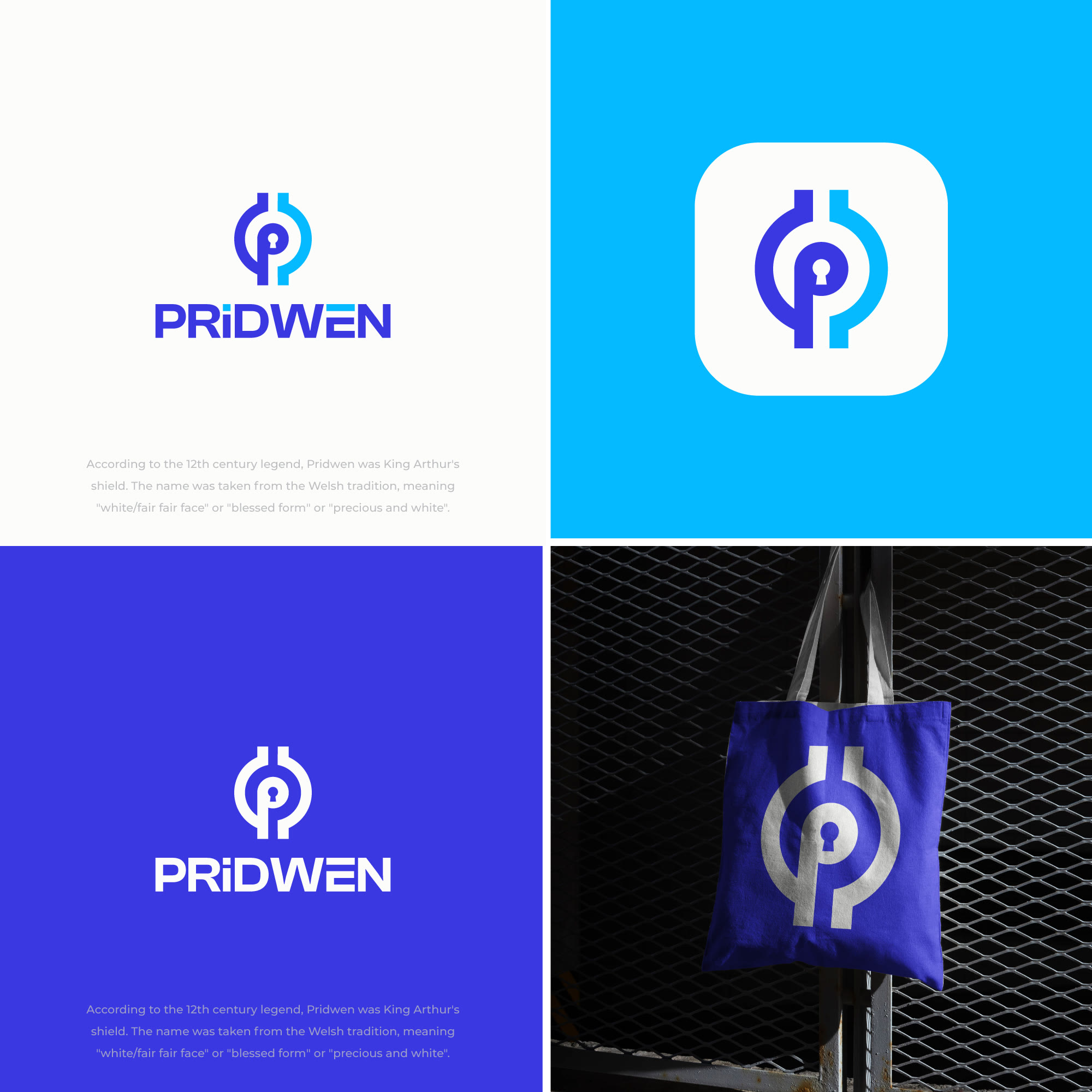 Pridwen Security Logo Design